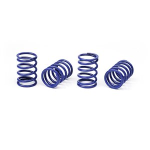 XRAY SPRING-SET D=1.6 (22.5 LB) BLUE - SOFT-MEDIUM