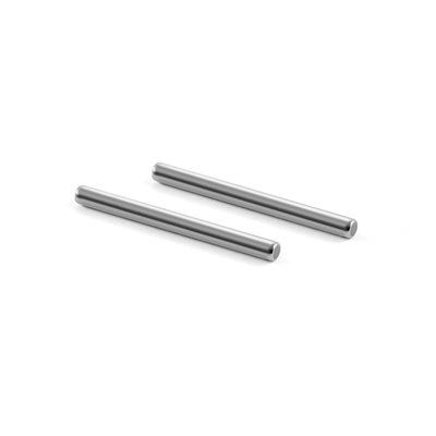 REAR ARM PIVOT PIN (2)