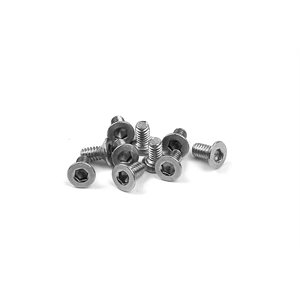 HEX SCREW SFH M2x4 - STAINLESS (10)