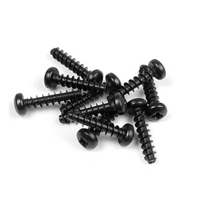 SCREW PHILLIPS 3.0x14 (10)